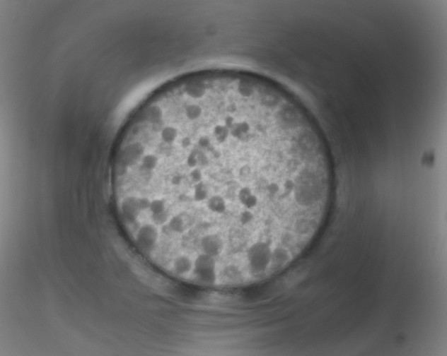 X0000115181271200911251348