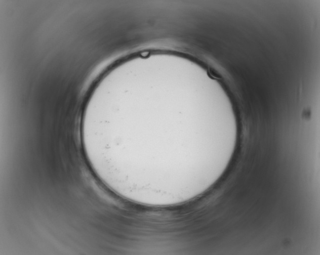 X0000115181272200911251348