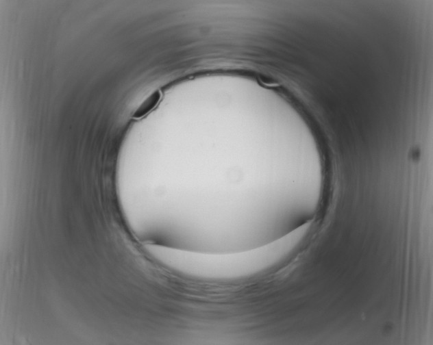 X0000115181273200911251348