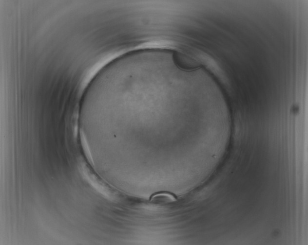 X0000115181276200911251348