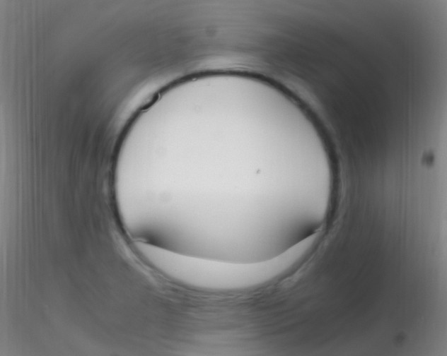X0000115181277200911251348