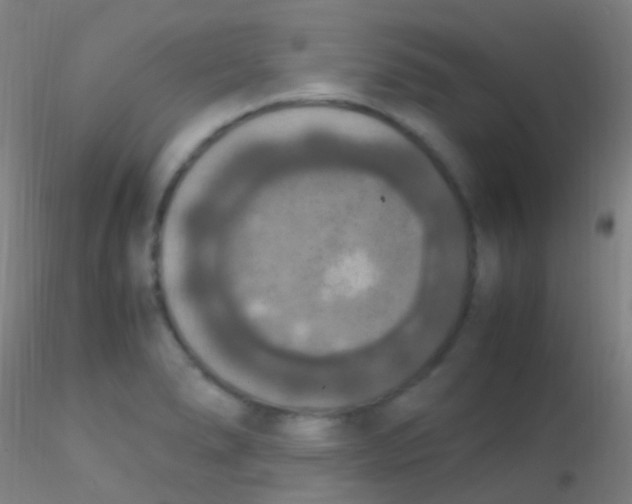 X0000115181278200911251348