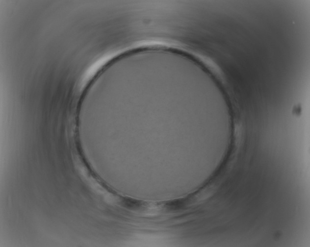 X0000115181279200911251348
