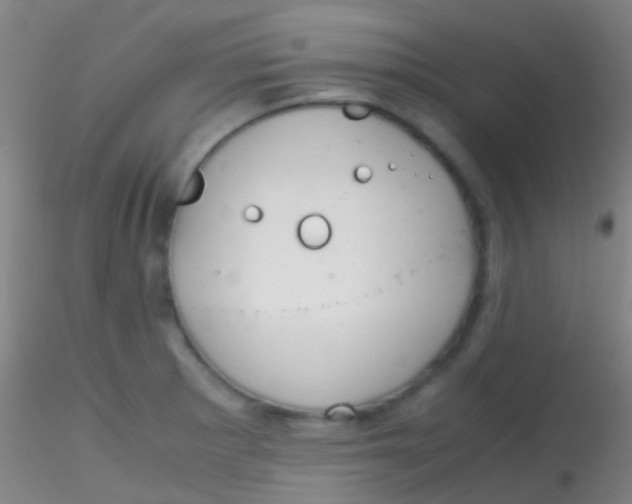 X0000115181281200911251348