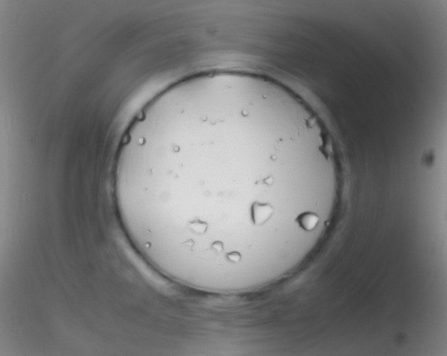 X0000115181285200911251348