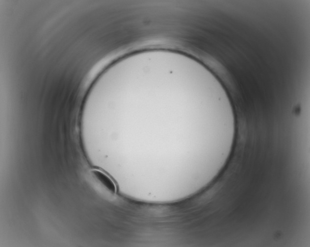 X0000115181288200911251348