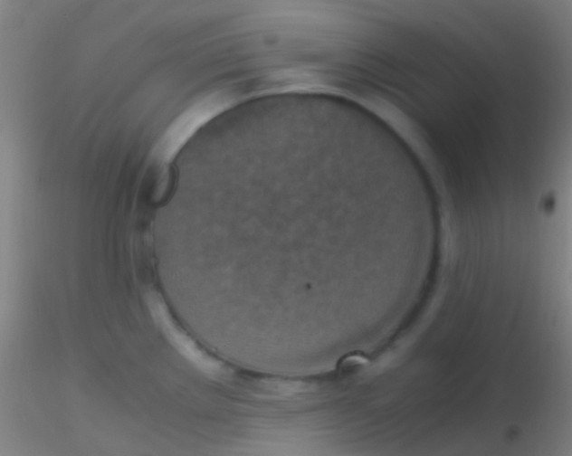 X0000115181289200911251348