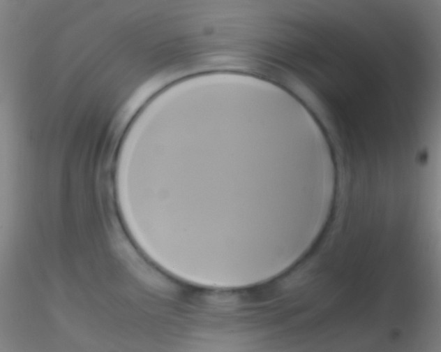 X0000115181291200911251348