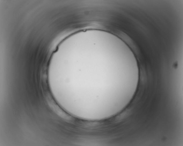 X0000115181292200911251348