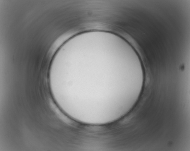 X0000115181293200911251348