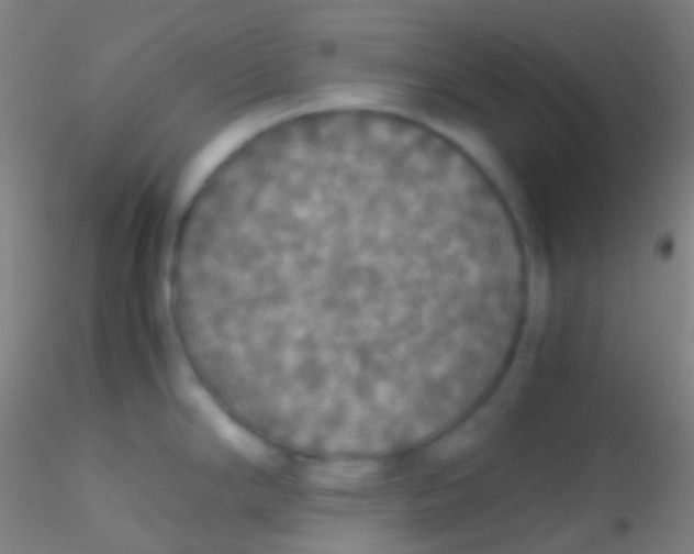 X0000115181294200911251348