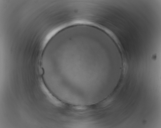X0000115181295200911251348