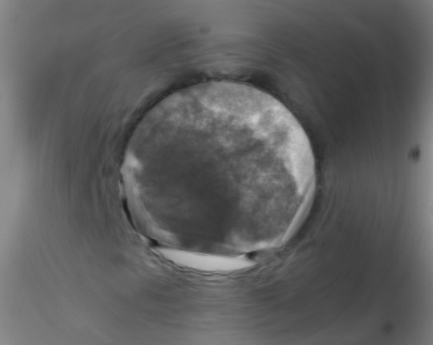 X0000115181297200911251347
