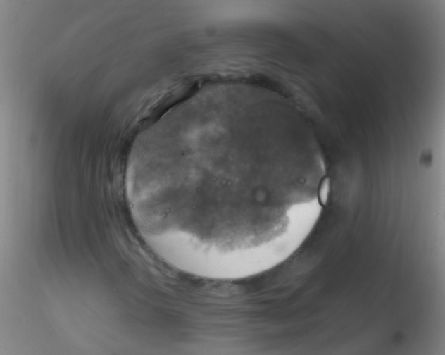 X0000115181298200911251347