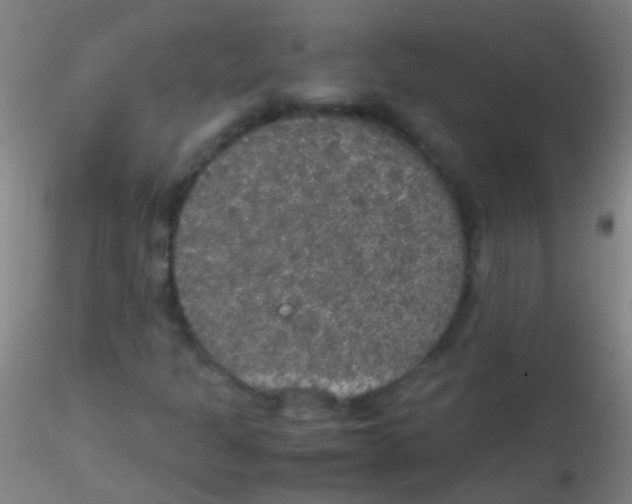 X0000115181301200911251347