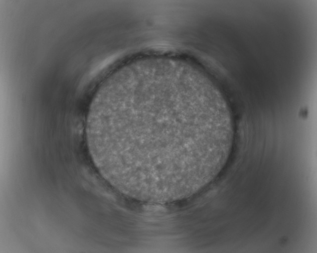 X0000115181302200911251347