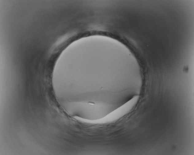 X0000115181303200911251347