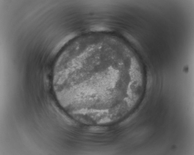 X0000115181305200911251347