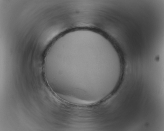 X0000115181306200911251347