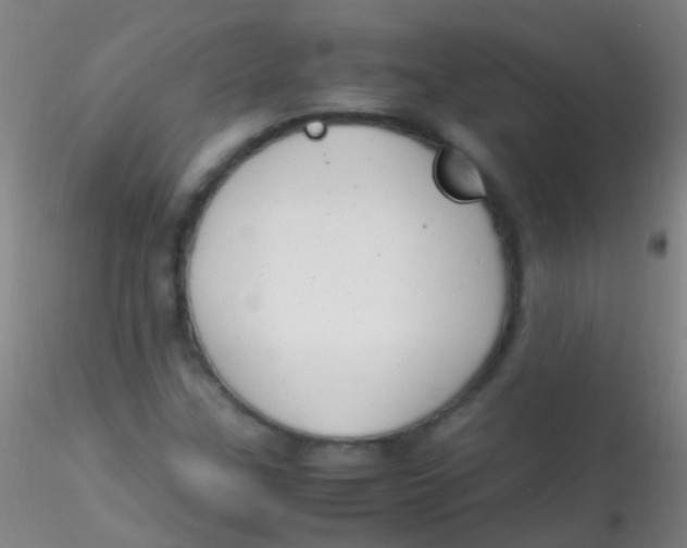 X0000115181307200911251347