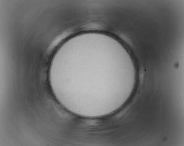 X0000115181309200911251347