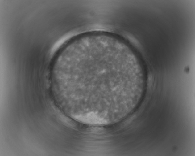X0000115181310200911251347