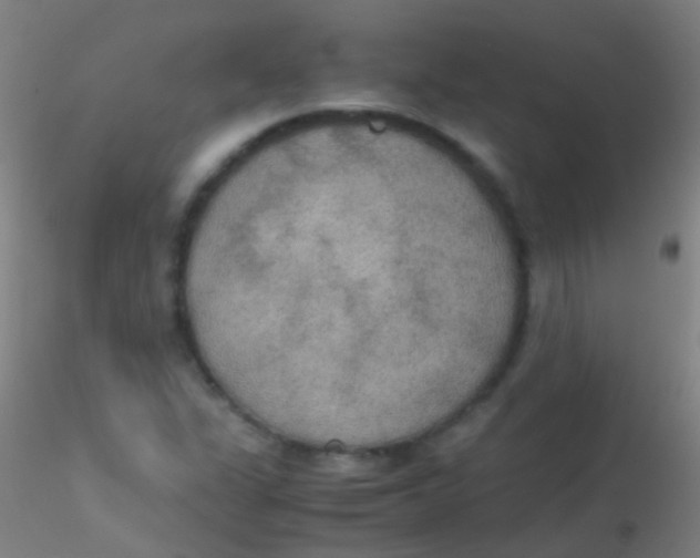 X0000115181311200911251347
