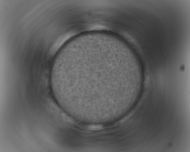 X0000115181313200911251347