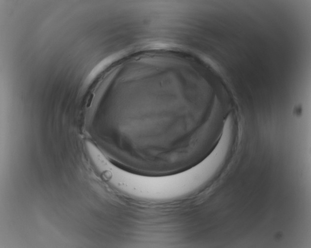 X0000115181314200911251347