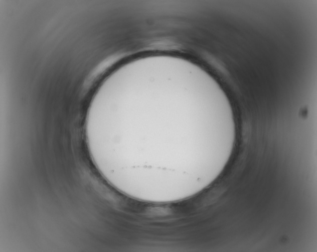 X0000115181315200911251347