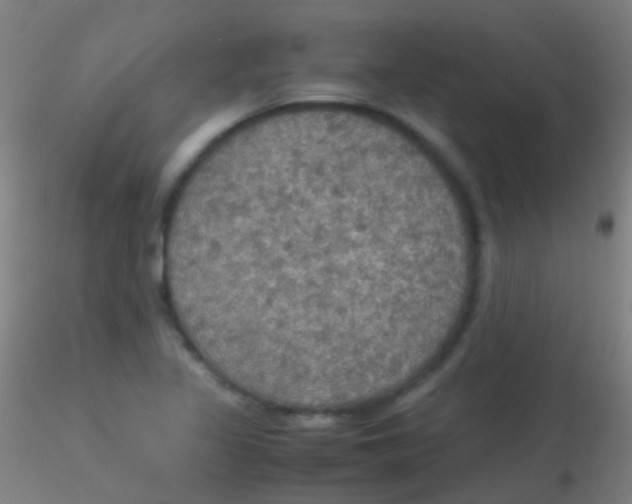 X0000115181317200911251347