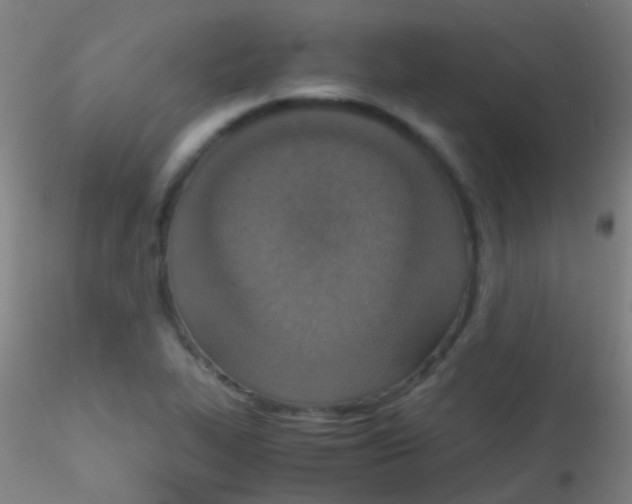 X0000115181319200911251347