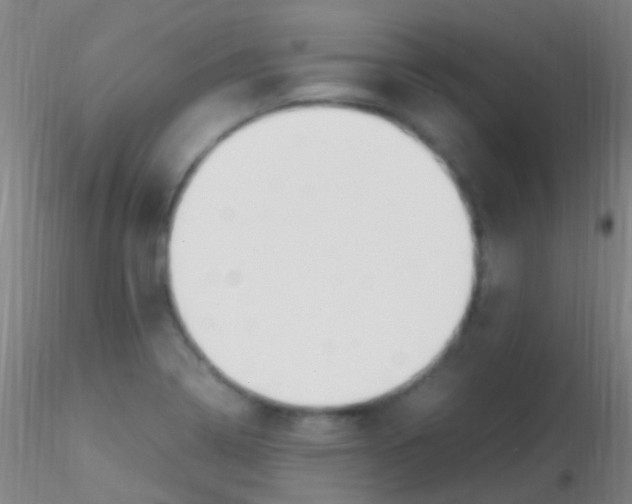 X0000115181322200911251347
