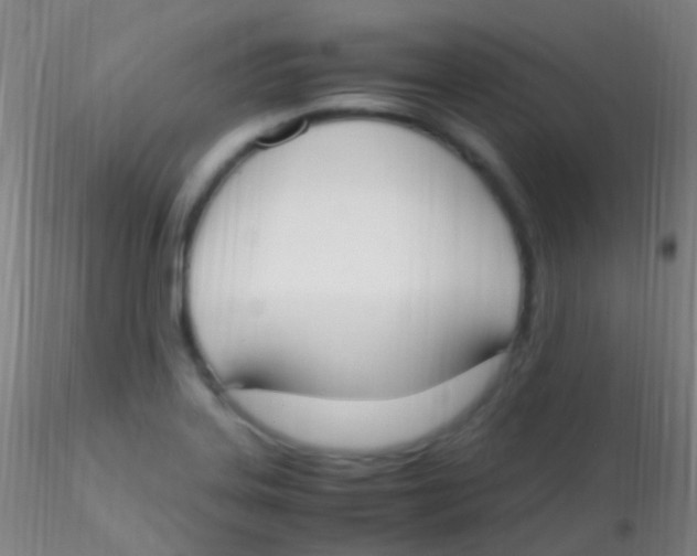 X0000115181323200911251347