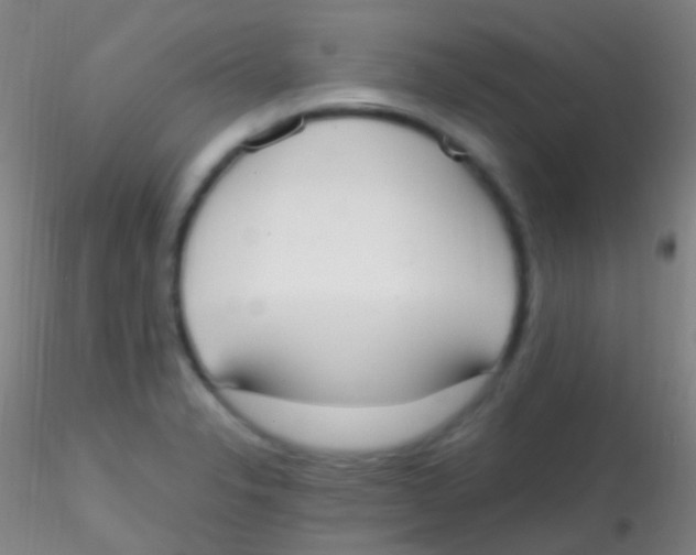 X0000115181326200911251348