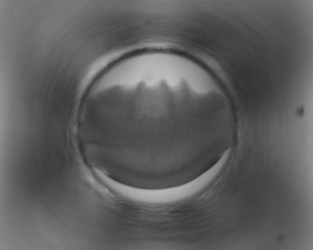 X0000115181327200911251348