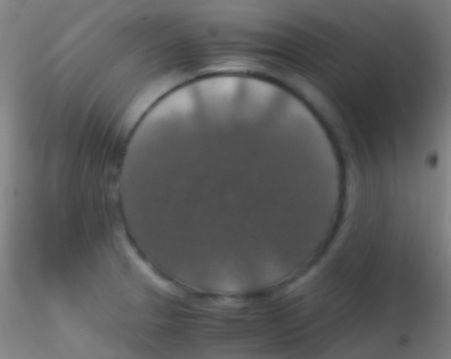 X0000115181329200911251348
