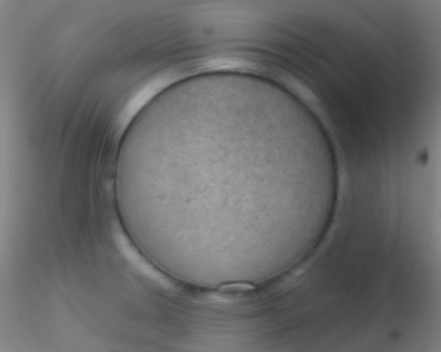 X0000115181330200911251348