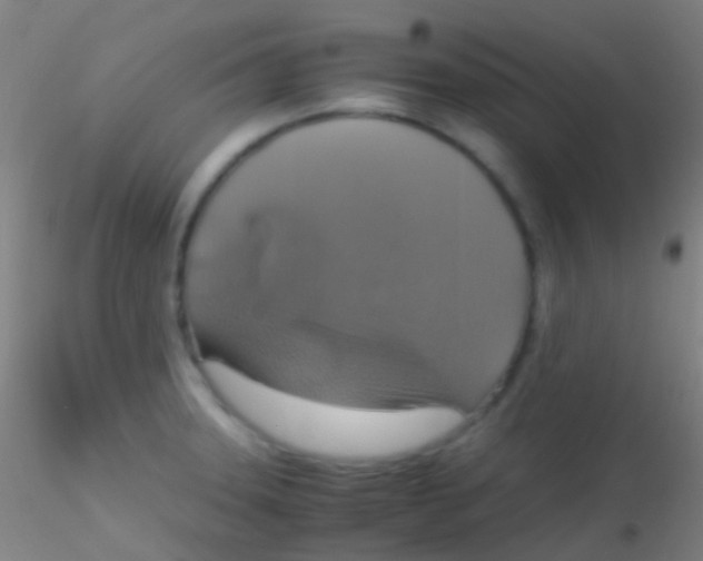 X0000115181331200911251348