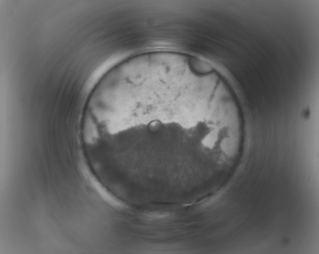 X0000115181333200911251348