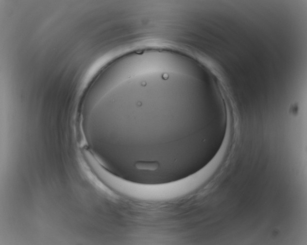 X0000115181334200911251348