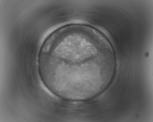 X0000115181335200911251348