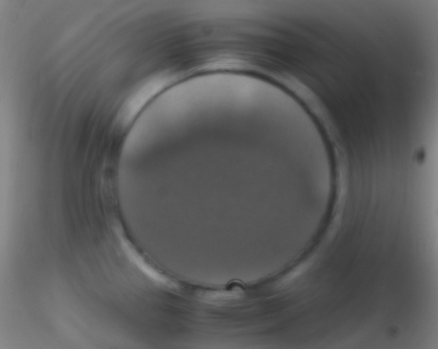X0000115181337200911251348