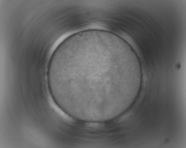 X0000115181339200911251348