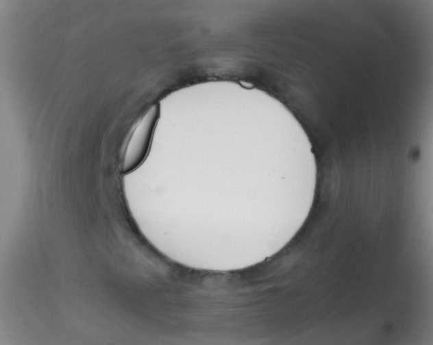 X0000115181345200911251347