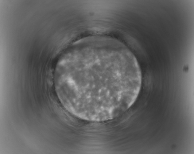X0000115181346200911251347