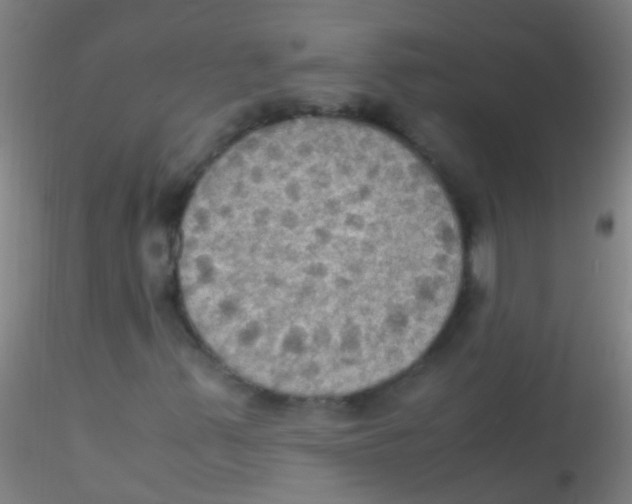 X0000115181347200911251347
