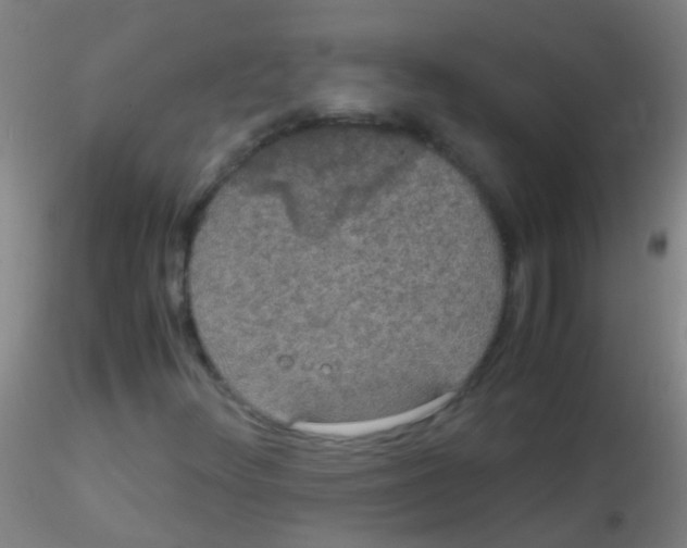 X0000115181348200911251347