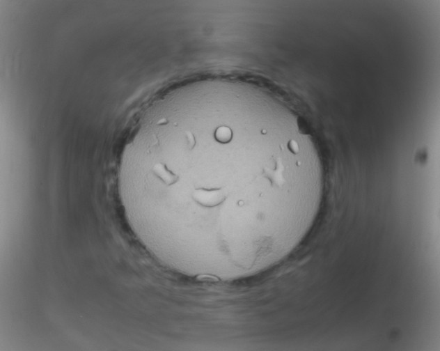 X0000115181349200911251347