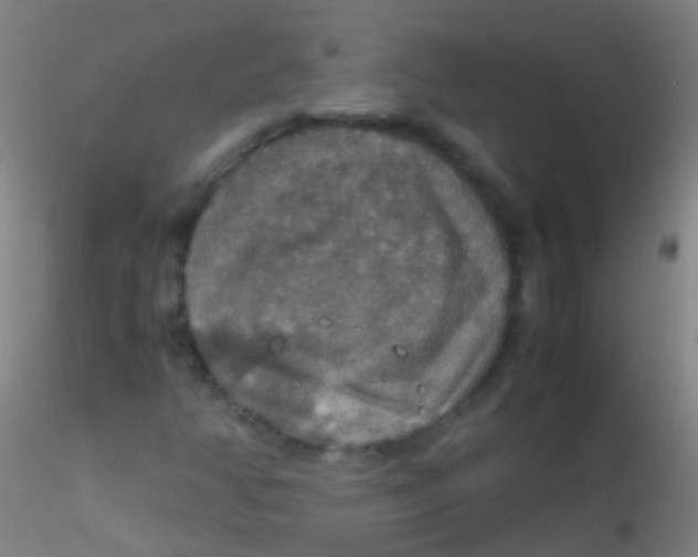 X0000115181350200911251347